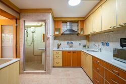 Blk 219 Bishan Street 23 (Bishan), HDB Executive #577253811
